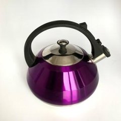 Чайник со свистком фиолетовый 2,5л нержавейка