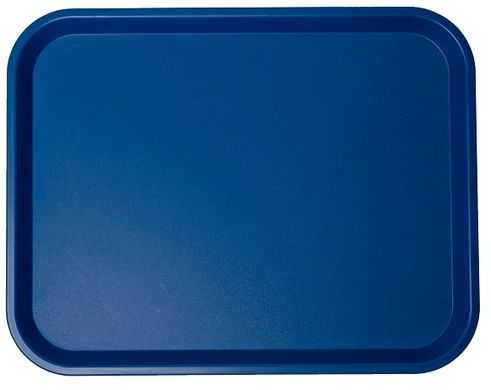 Поднос прямоугольный синий 45,6х35,6 см пластик