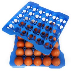 Лоток для яєць для контейнера синій 29х29 см h4 см поліпропілен